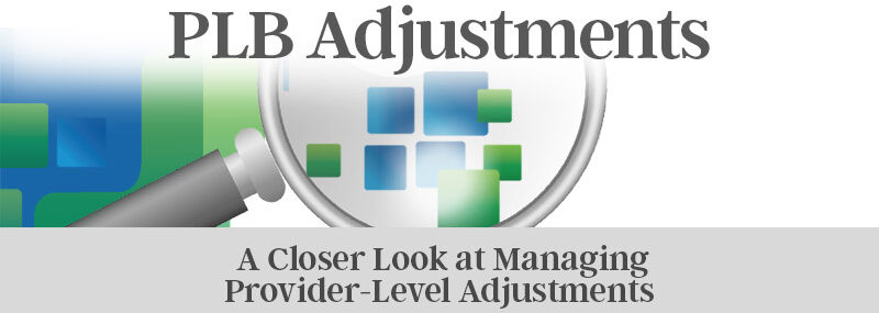 Provider Level Adjustments (PLB)